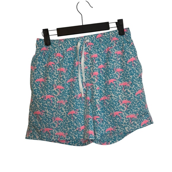 Chubbies Domingo’s are for Flamingos Classic Swim Shorts - Picture 1 of 5